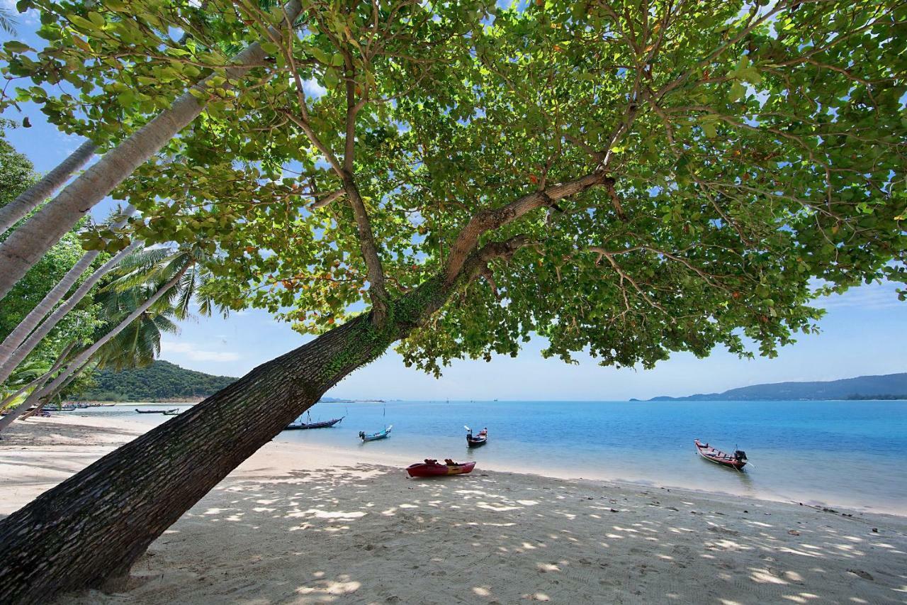 Baan Chao Lay Villa Lipa Noi Dış mekan fotoğraf